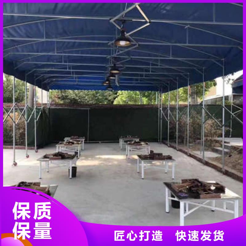电动雨棚免费咨询