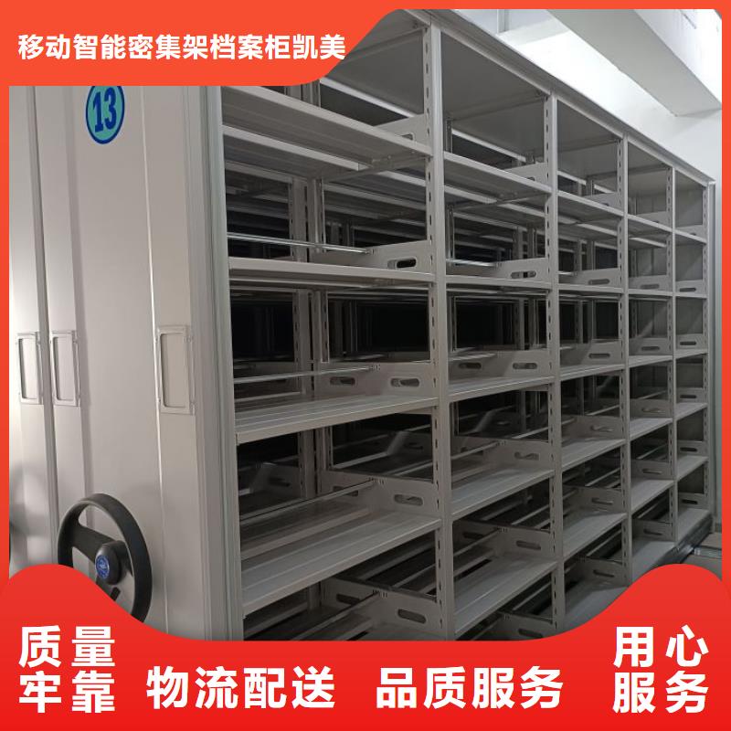 日常维修【凯美】橱式密集架