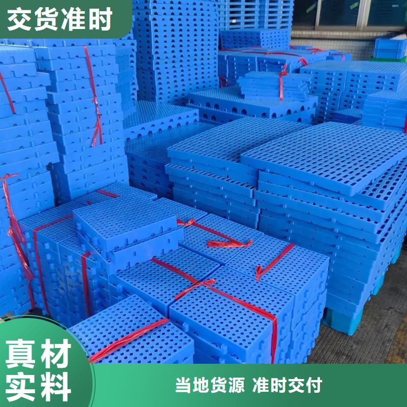 杀菌锅塑料隔板一手货源