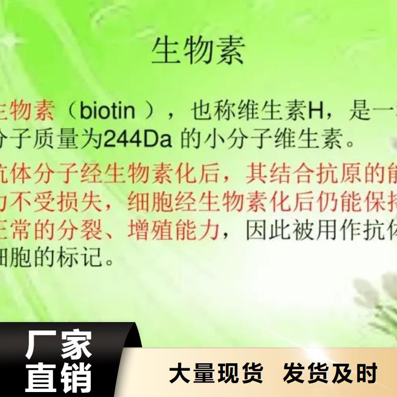 【生物素】_发泡微球源厂直接供货 英智信进出口(延安市分公司)