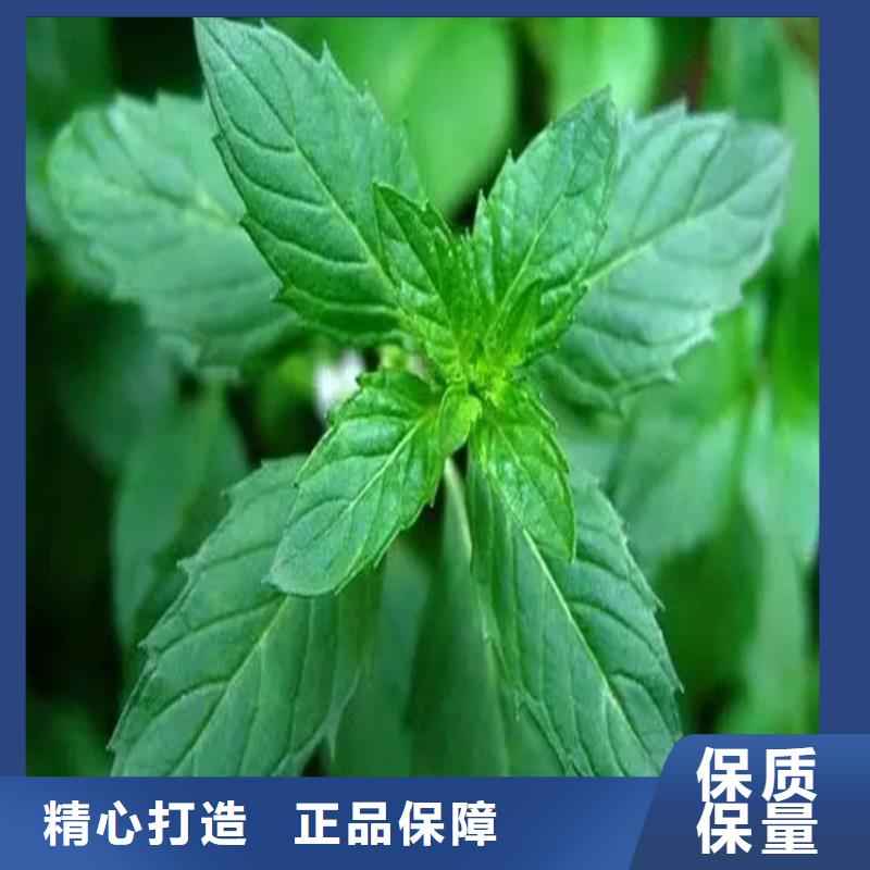 回收水性乳液库存齐全厂家直供
