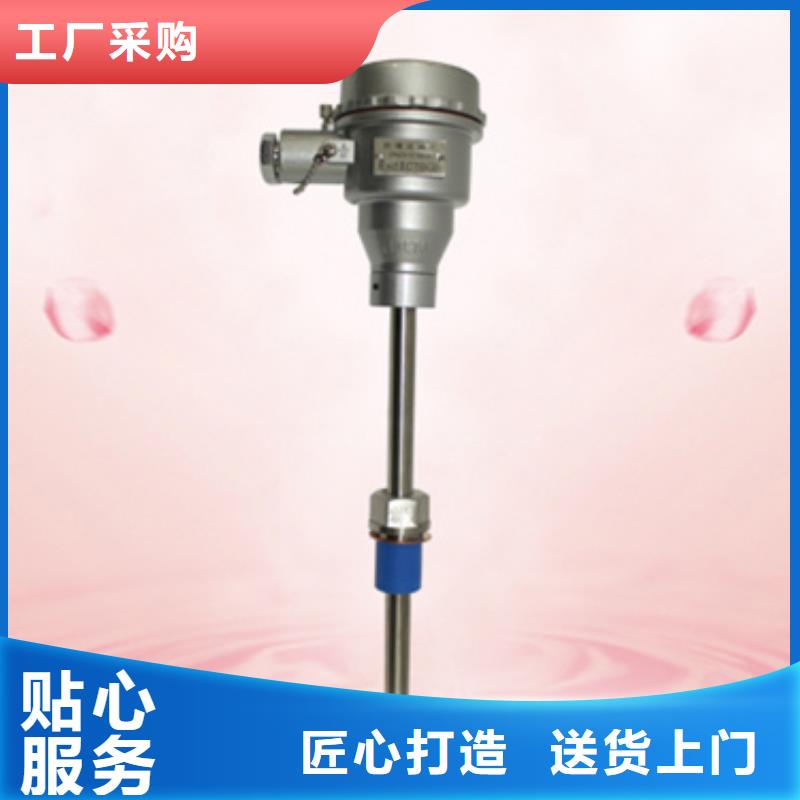 热电偶,温度仪表敢与同行比质量
