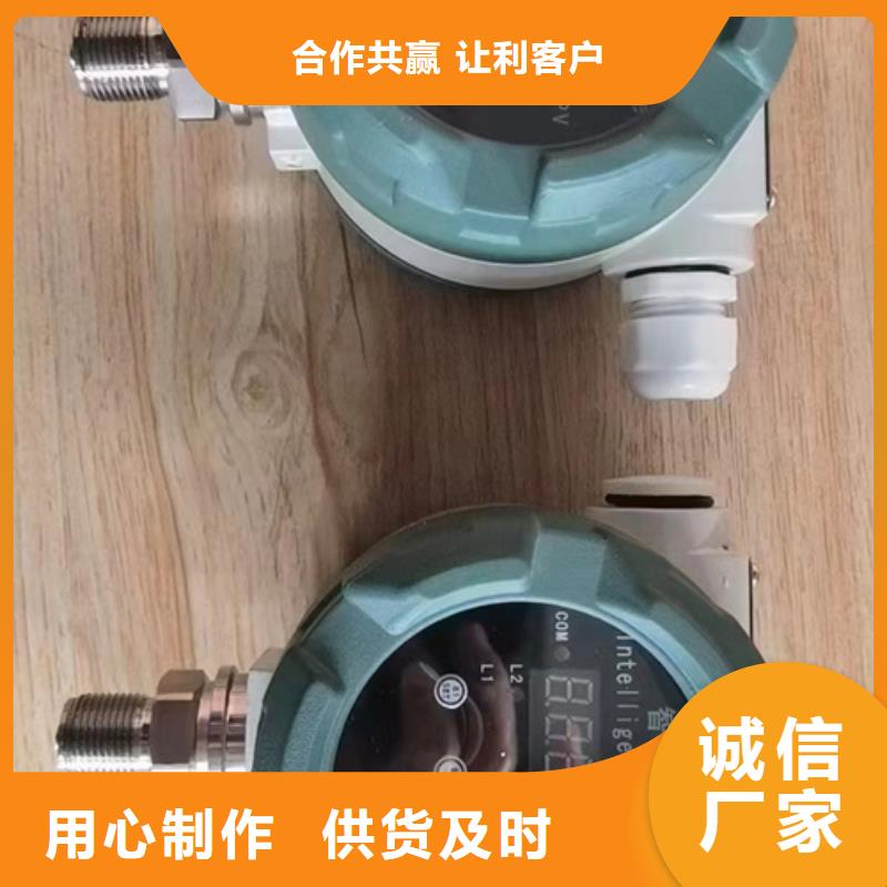 VEGAPULS68XXED2HAMAX大厂家值得信赖