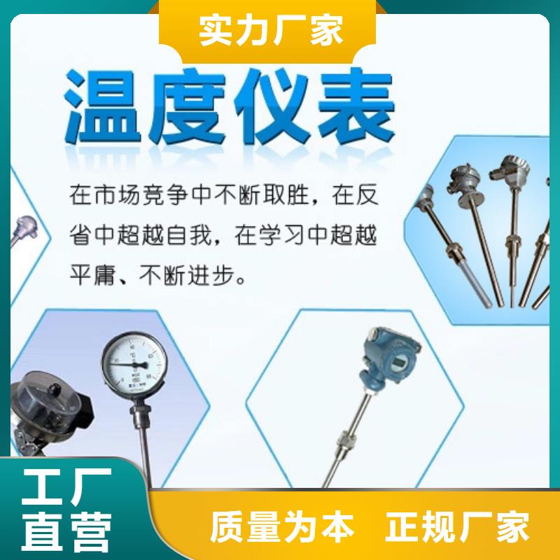 热电偶,热电阻N年大品牌