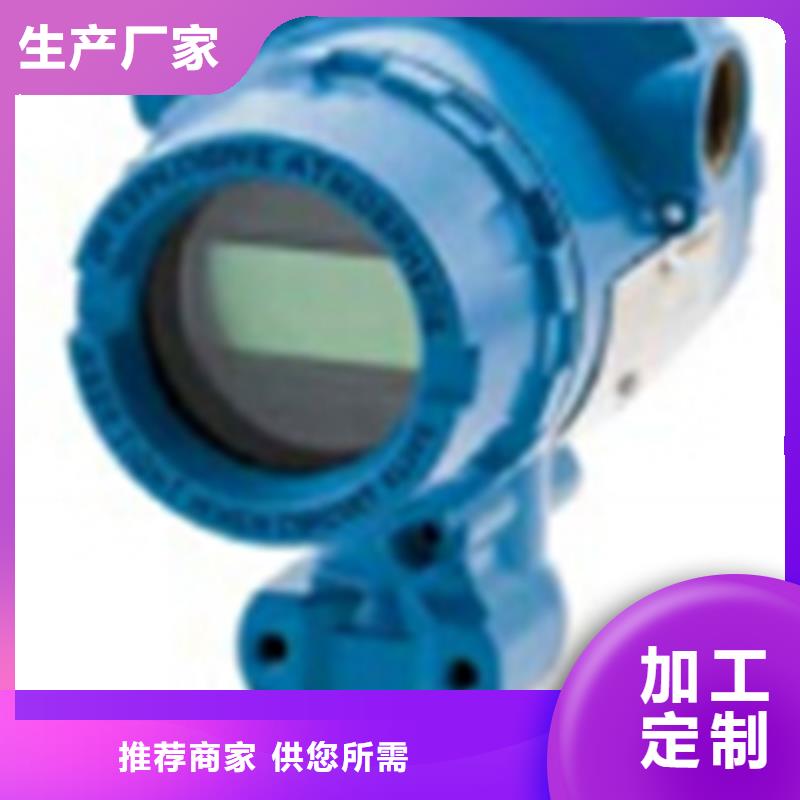 WB41SN11-01厂家-找索正自动化仪表