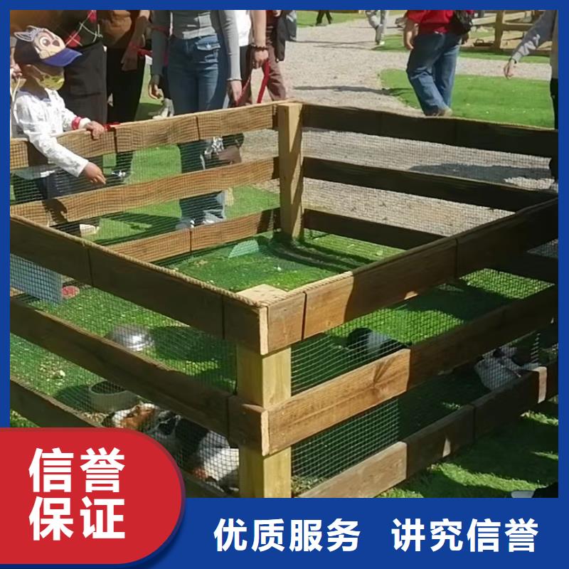 马戏团/羊驼鹦鹉表演2025公司
