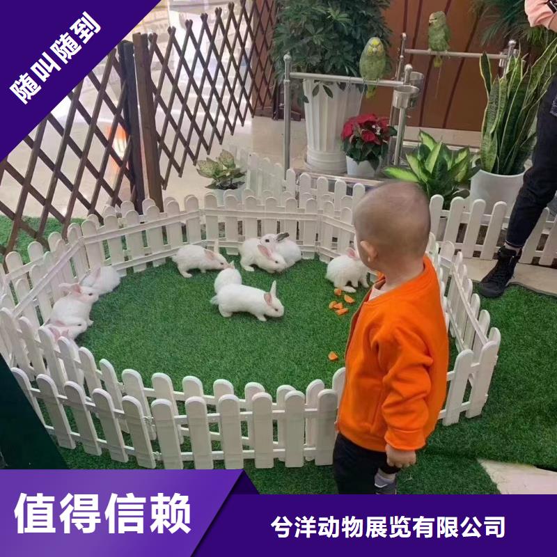 马戏团/羊驼海洋展租赁24小时为您服务