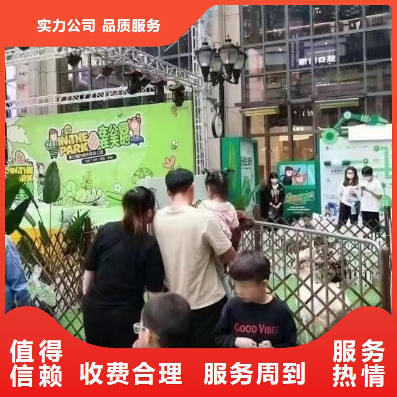马戏团/羊驼死轮表演技术成熟
