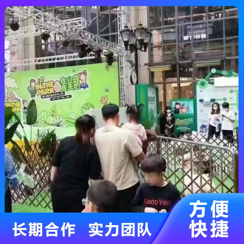 【马戏团/羊驼】_羊驼出租欢迎询价