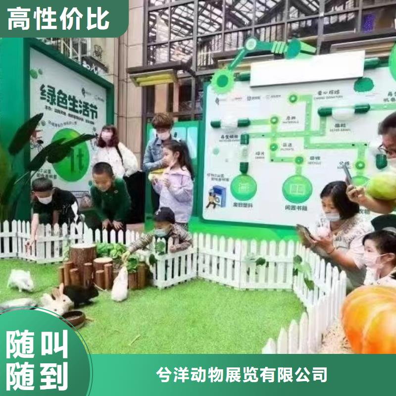 马戏团/羊驼鹦鹉表演2025公司