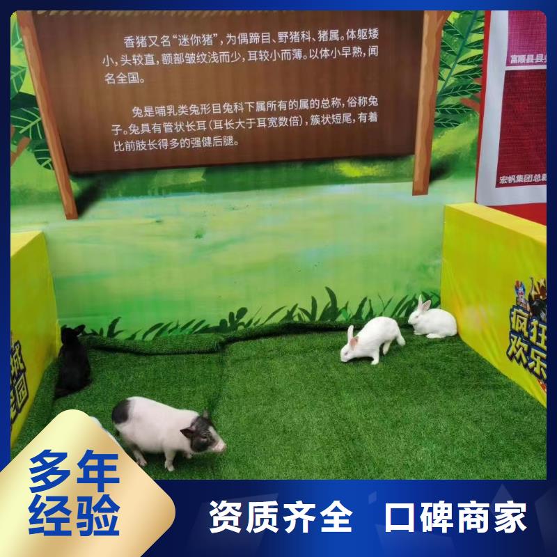马戏团/羊驼杂技表演品质服务