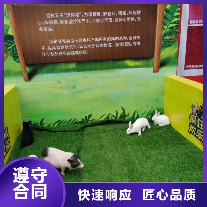 马戏团/羊驼,观赏性羊驼租赁技术好