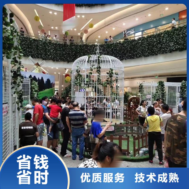 马戏团/羊驼吉祥百鸟展案例丰富