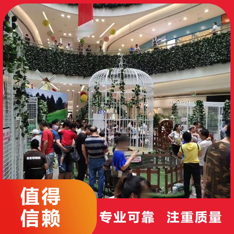 马戏团/羊驼,马戏团表演行业口碑好