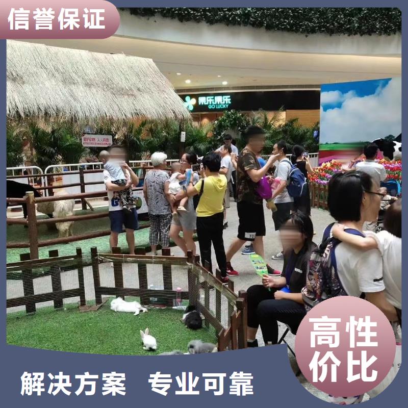 马戏团/羊驼海洋展租赁团队