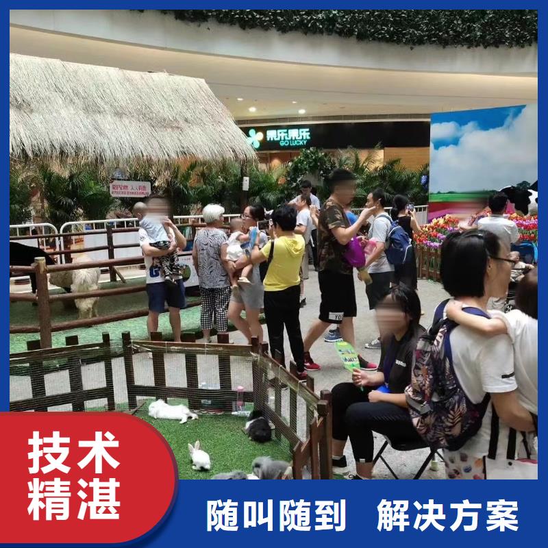 马戏团/羊驼 小香猪宠物出租行业口碑好