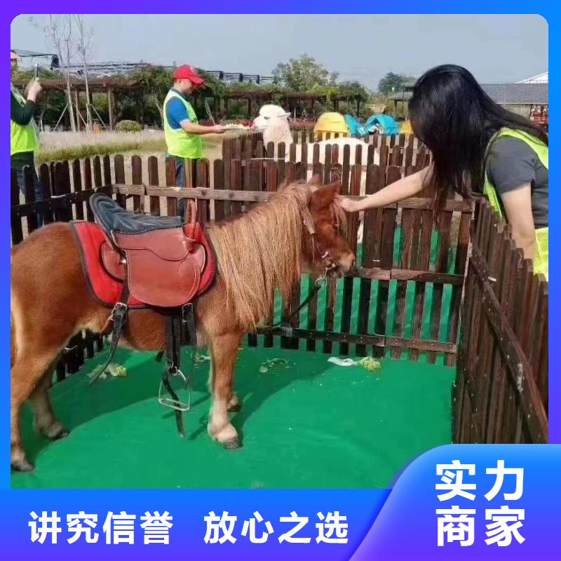 【马戏团/羊驼杂耍演出品质卓越】
