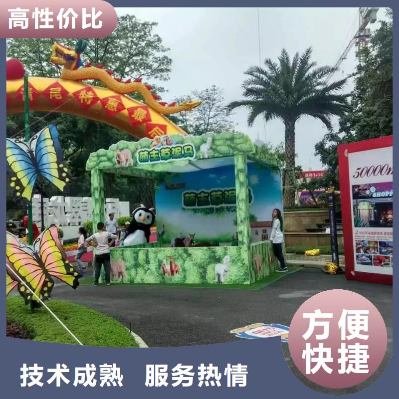 马戏团/羊驼_草泥马羊驼租赁优质服务