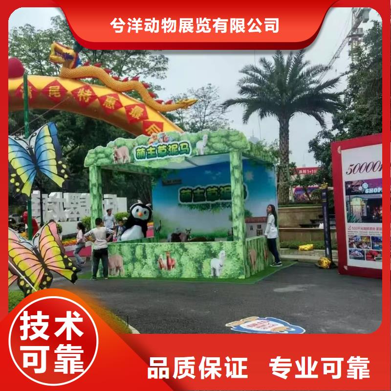 【马戏团/羊驼杂耍演出品质卓越】