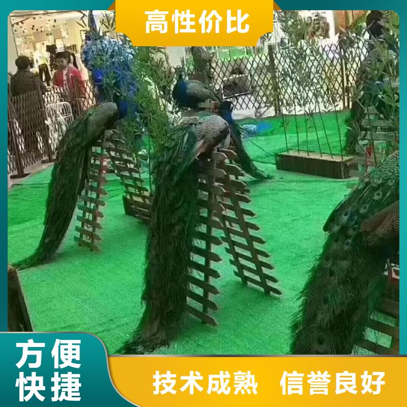 马戏团/羊驼-动物表演出租品质好
