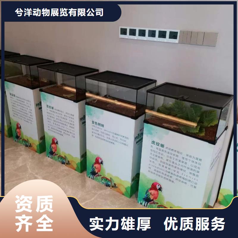 马戏团/羊驼,【海狮表演】售后保障