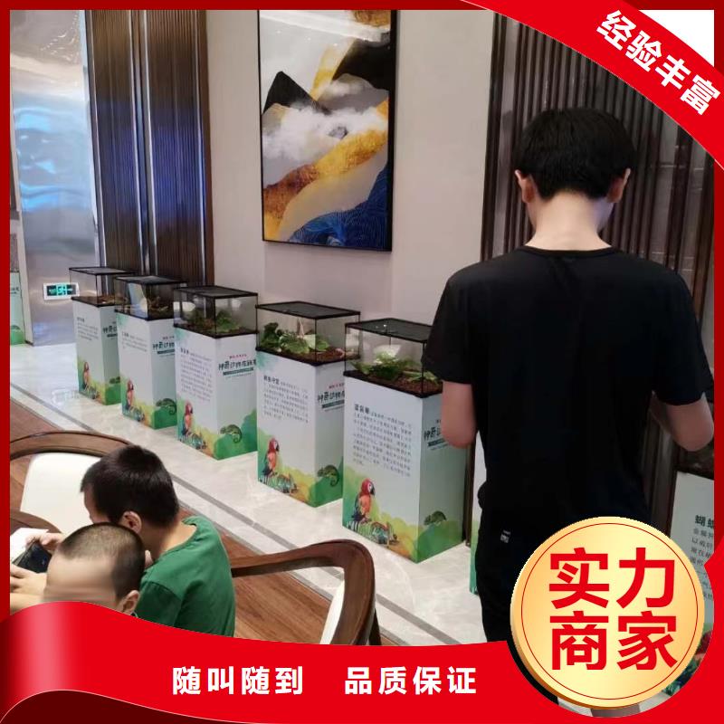 马戏团/羊驼,商场马戏表演出租知名公司
