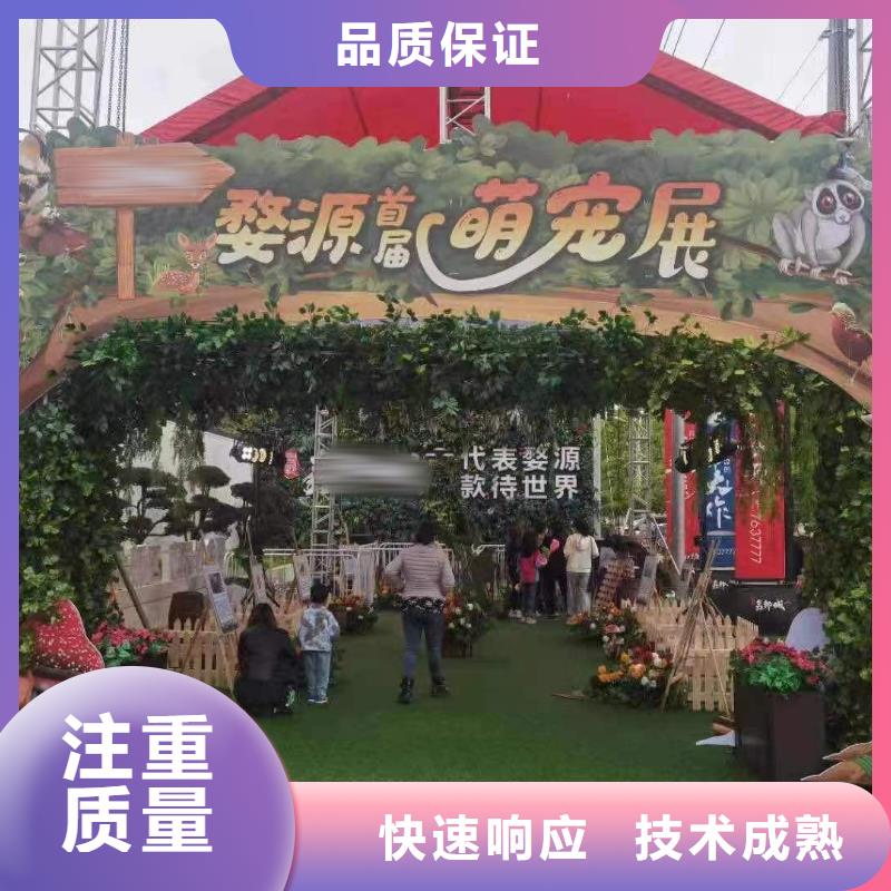 马戏团/羊驼海洋展租赁正规团队