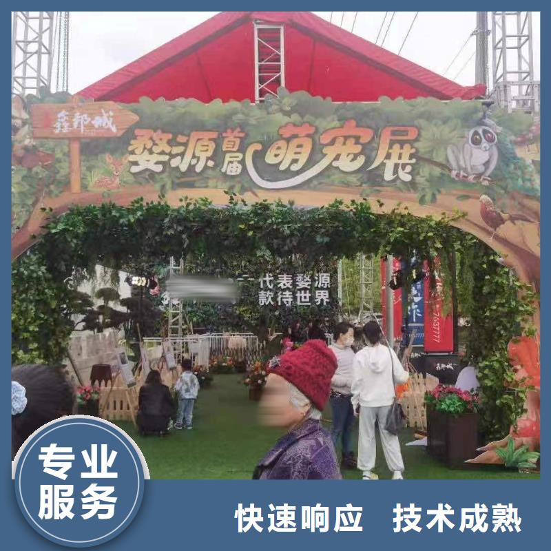 马戏团/羊驼_景区杂技表演专业团队