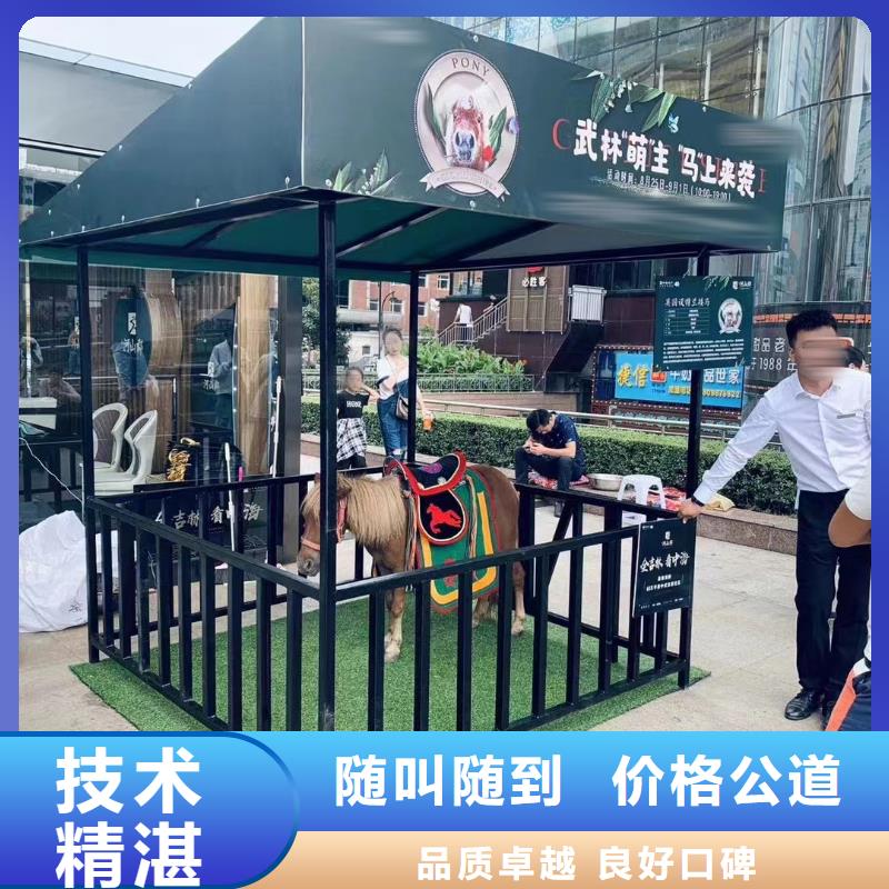 马戏团/羊驼【小香猪宠物出租】售后保障