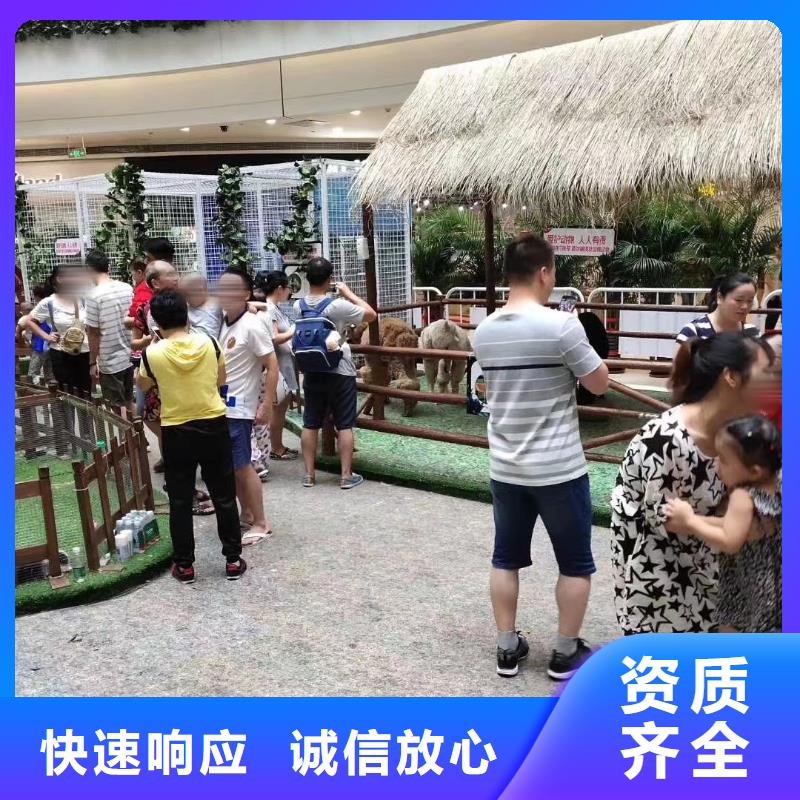 马戏团/羊驼 【马戏团表演出租租赁】拒绝虚高价