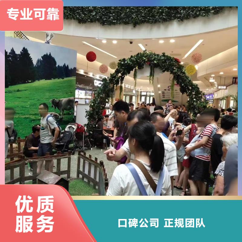 马戏团/羊驼,商场马戏表演出租知名公司