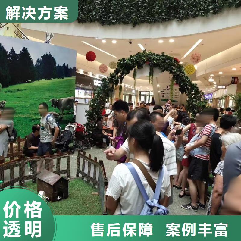 马戏团/羊驼鹦鹉表演租赁实力商家
