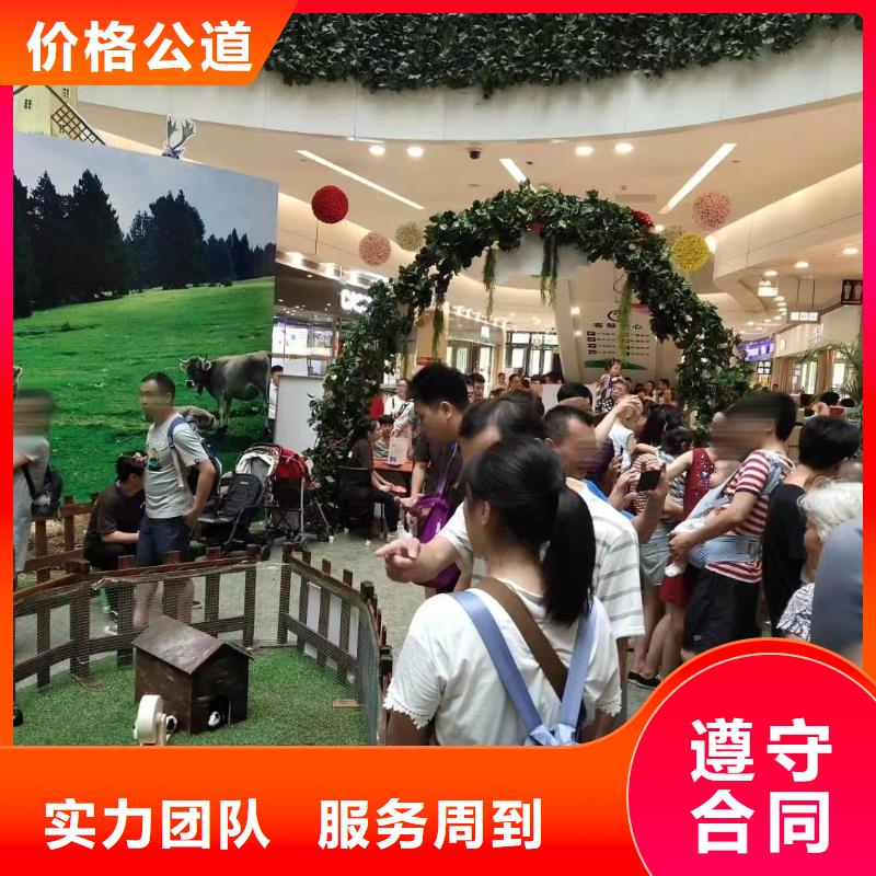 马戏团/羊驼,马戏团表演出租品质优