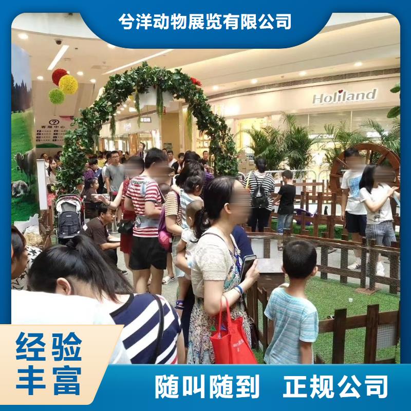 马戏团/羊驼海洋展租赁技术成熟