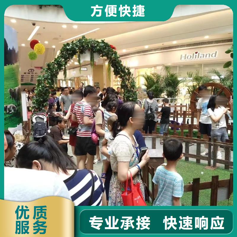 马戏团/羊驼美人鱼表演出租快捷