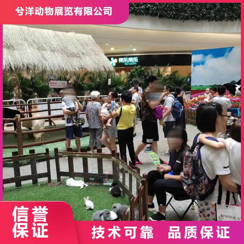 马戏团/羊驼美人鱼表演一站式服务