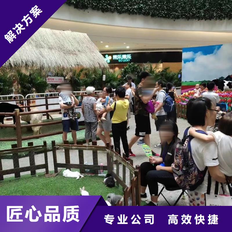 马戏团/羊驼出租表演鹦鹉价格美丽