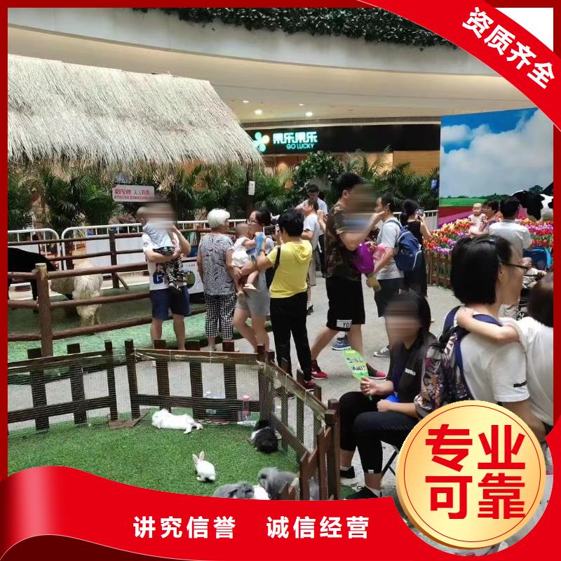 马戏团/羊驼 马戏团表演效果满意为止