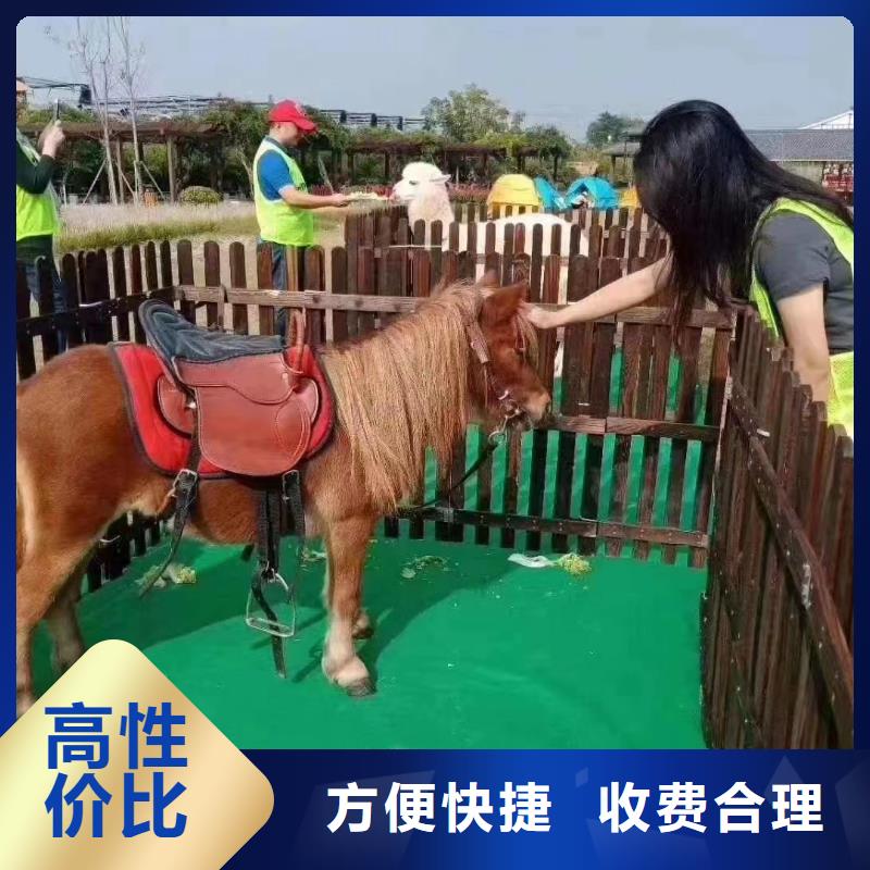 马戏团/羊驼 美人鱼表演出租诚信放心