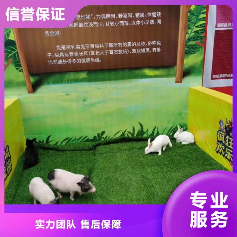 马戏团/羊驼吉祥百鸟展案例丰富