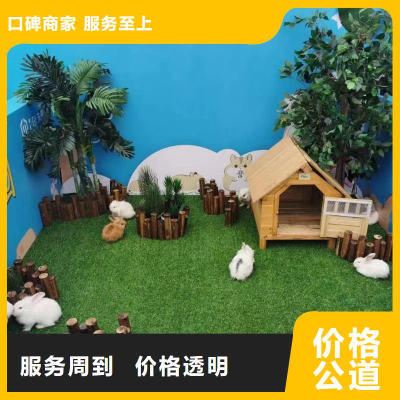 马戏团/羊驼_景区杂技表演专业团队