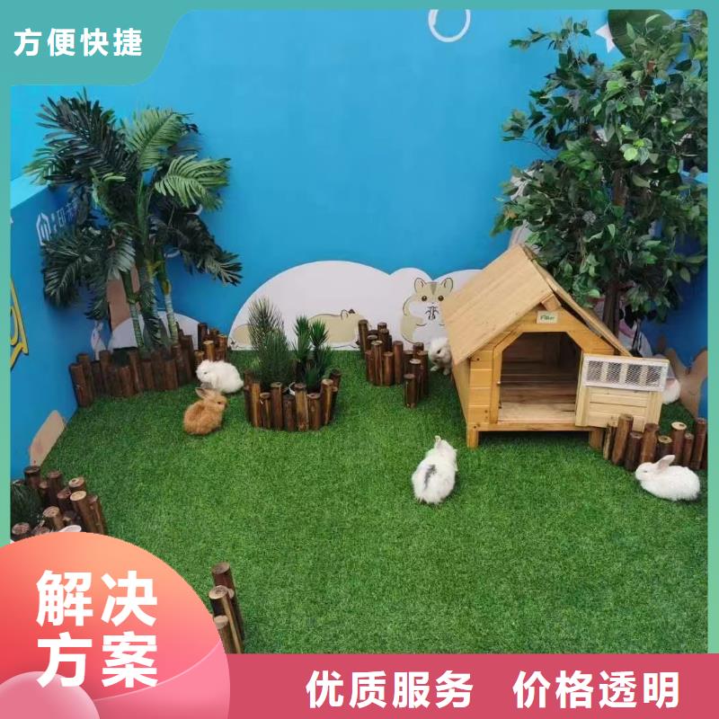 马戏团/羊驼美人鱼表演出租讲究信誉