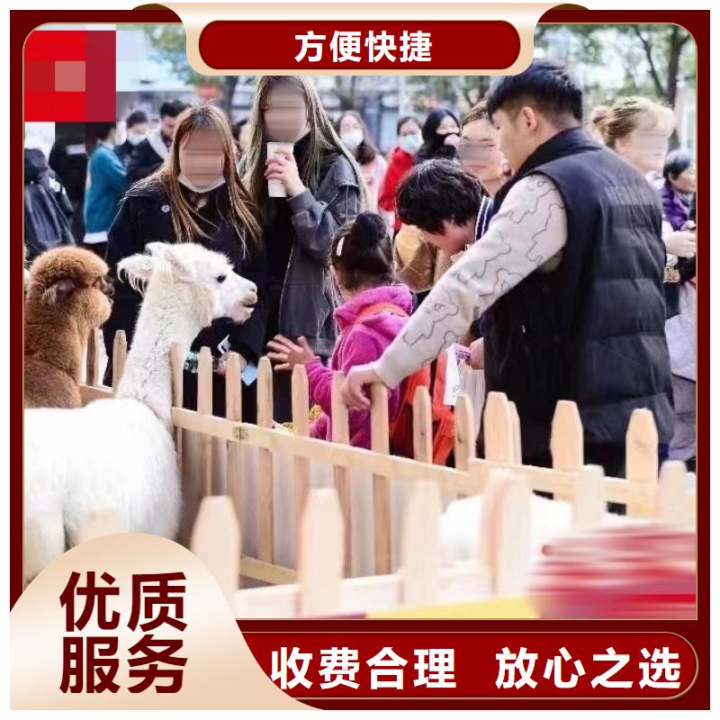 马戏团/羊驼【出租海狮表演】收费合理