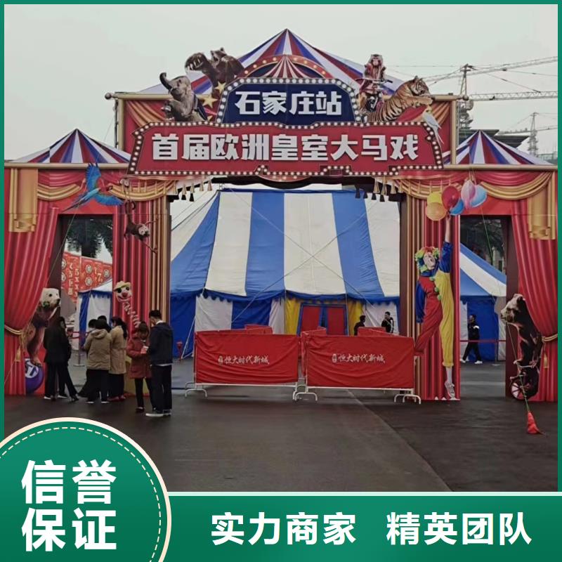 马戏团/羊驼,【马戏团表演出租租赁】快速