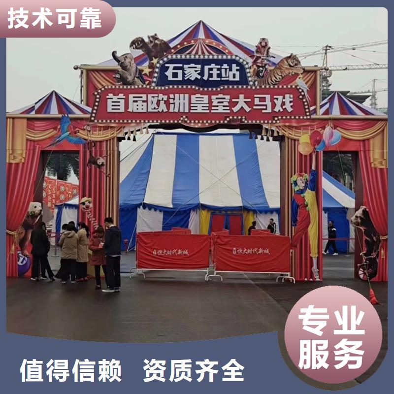 马戏团/羊驼 羊驼出租值得信赖