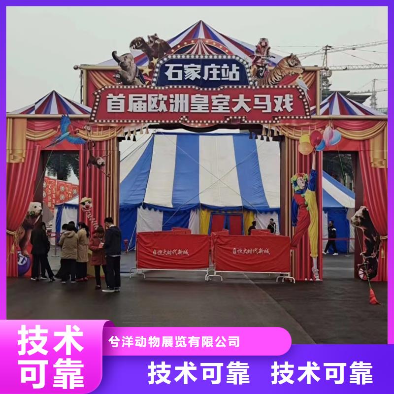 马戏团/羊驼-马戏团表演出租租赁省钱省时