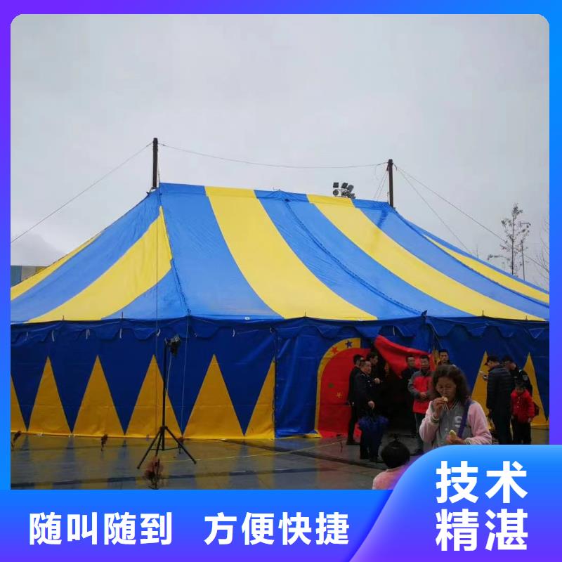 马戏团/羊驼,表演羊驼租赁案例丰富