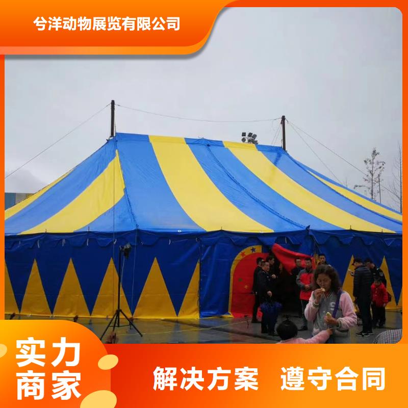 马戏团/羊驼动物表演24小时为您服务