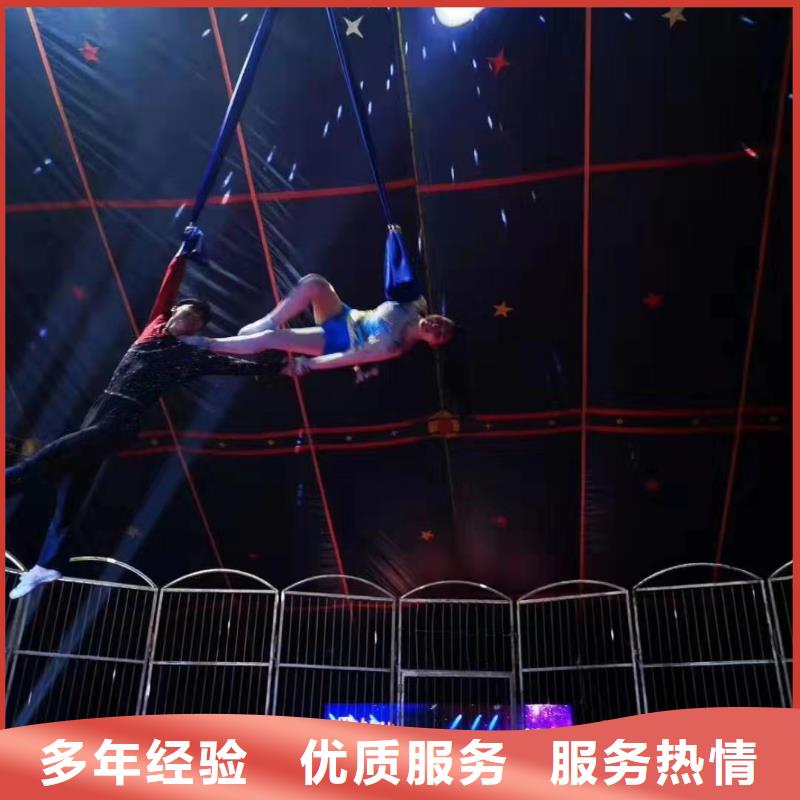 马戏团/羊驼 羊驼出租专业团队