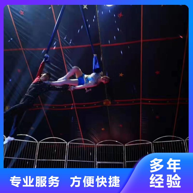 马戏团/羊驼杂耍演出技术成熟